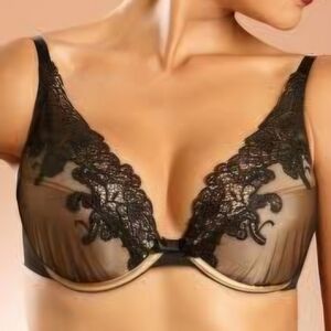 NWT Chantelle Palazzo Padded Push Up Bra 2171/L3